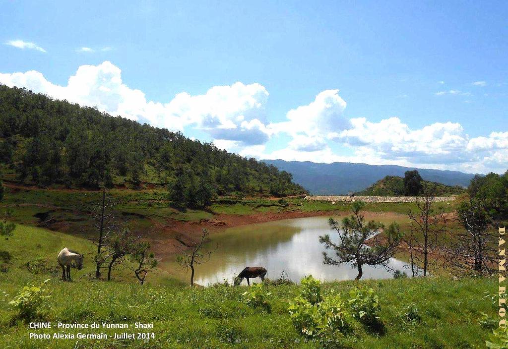 094 - Shaxi.JPG